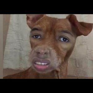 Meet your Posher, Jay